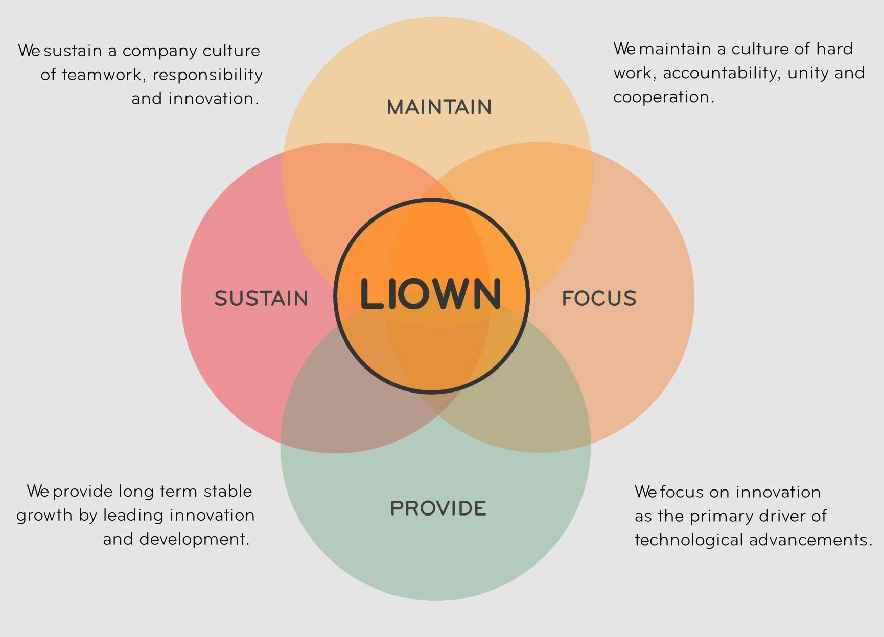 CORE BELIEFS: To sustain a company culture of teamwork, responsibility and innovation. To maintain a culture of hard work, accountability, unity and cooperation. To provide long term stable growth by leading innovation and development. To focus on innovation as the primary driver of technological advancements.